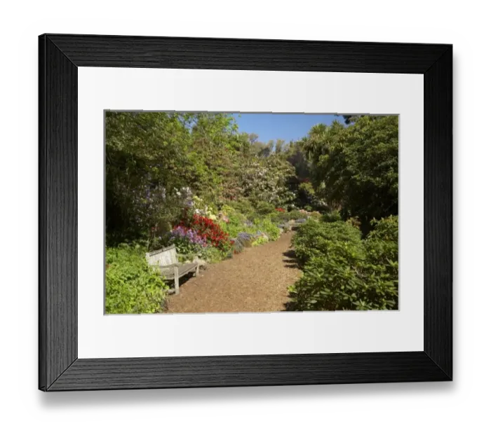 Framed Print : New Zealand Framed Print : New Zealand