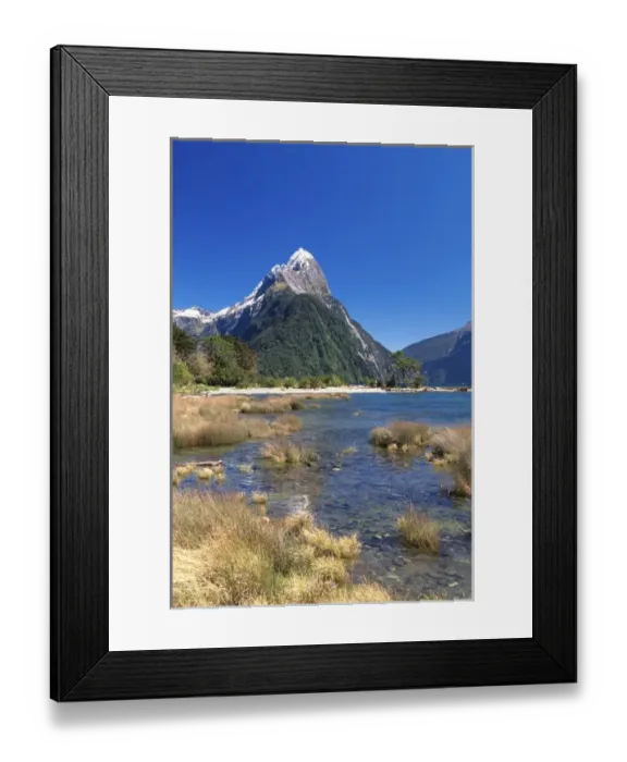 Framed Print : New Zealand, Fiordland National Park