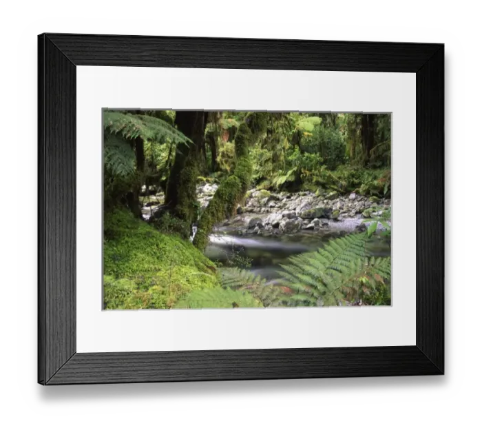 Framed Print : New Zealand Framed Print : New Zealand
