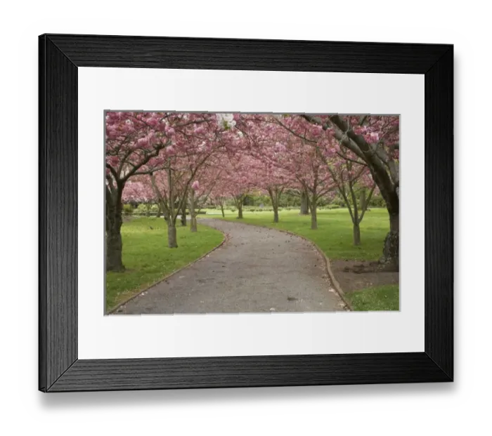 Framed Print : New Zealand Framed Print : New Zealand