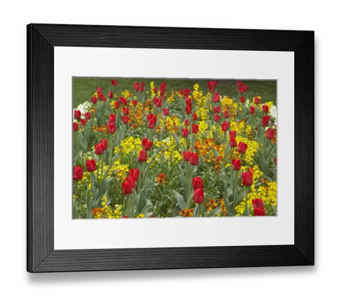 Framed Print : New Zealand