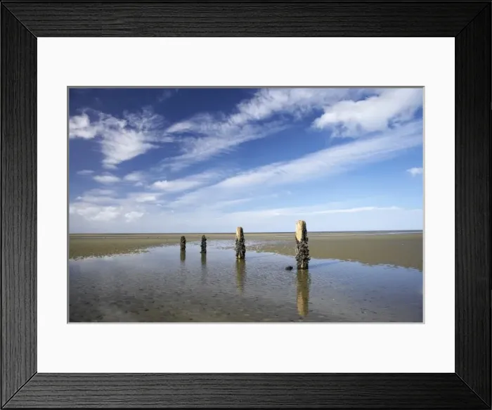 Framed Print : Old Jetty Piles, Collingwood, Golden Bay, Nelson Region, South Island, New Zealand