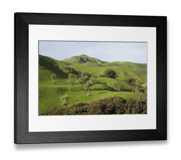 Framed Print : New Zealand Framed Print : New Zealand