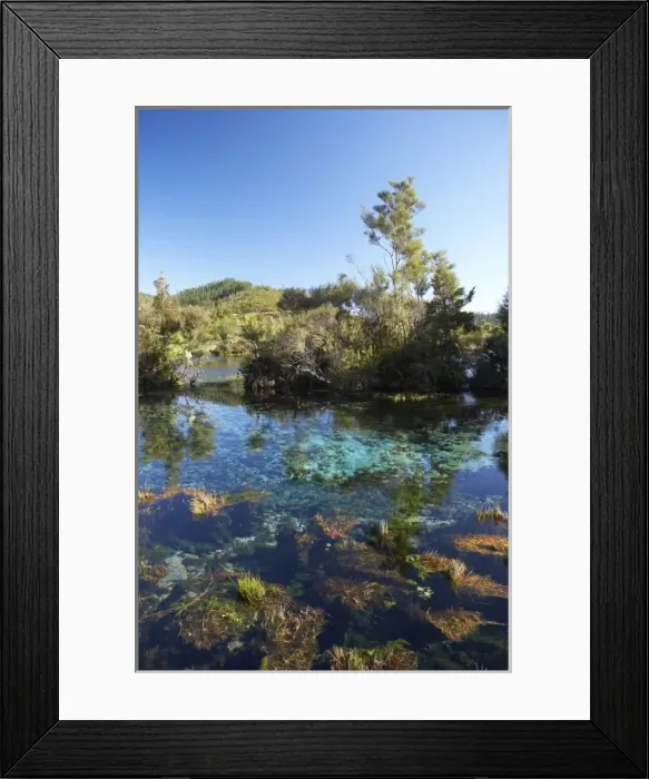 Framed Print : Pupu Springs (Te Waikoropupu Springs ), near Takaka, Golden Bay, Nelson Region, South Island Framed Print : Pupu Springs (Te Waikoropupu Springs ), near Takaka, Golden Bay, Nelson Region, South Island