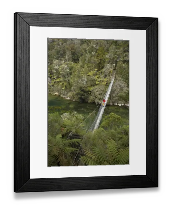 Framed Print : New Zealand Framed Print : New Zealand