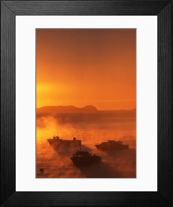 Framed Print : New Zealand, Misty Sunrise and Fishing Boats, Halfmoon Bay, Stewart Island / Rakiura Framed Print : New Zealand, Misty Sunrise and Fishing Boats, Halfmoon Bay, Stewart Island / Rakiura