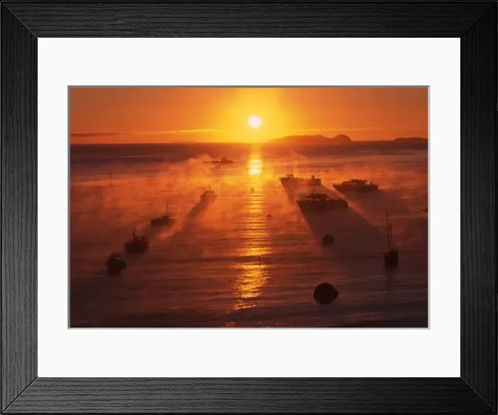 Framed Print : New Zealand, Misty Sunrise and Fishing Boats, Halfmoon Bay, Stewart Island / Rakiura Framed Print : New Zealand, Misty Sunrise and Fishing Boats, Halfmoon Bay, Stewart Island / Rakiura