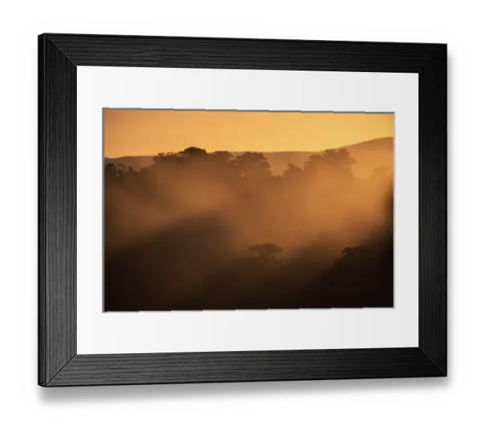 Framed Print : New Zealand, Southland Framed Print : New Zealand, Southland