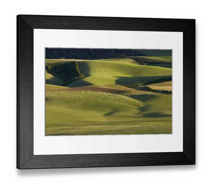 Framed Print : New Zealand Framed Print : New Zealand