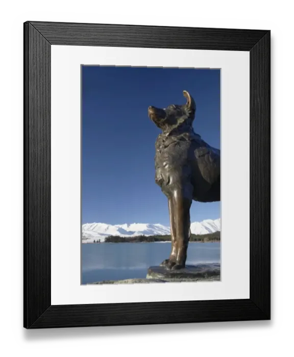 Framed Print : New Zealand, South Island, Canterbury, Mackenzie Country, Sheep Dog Statue, Lake Tekapo