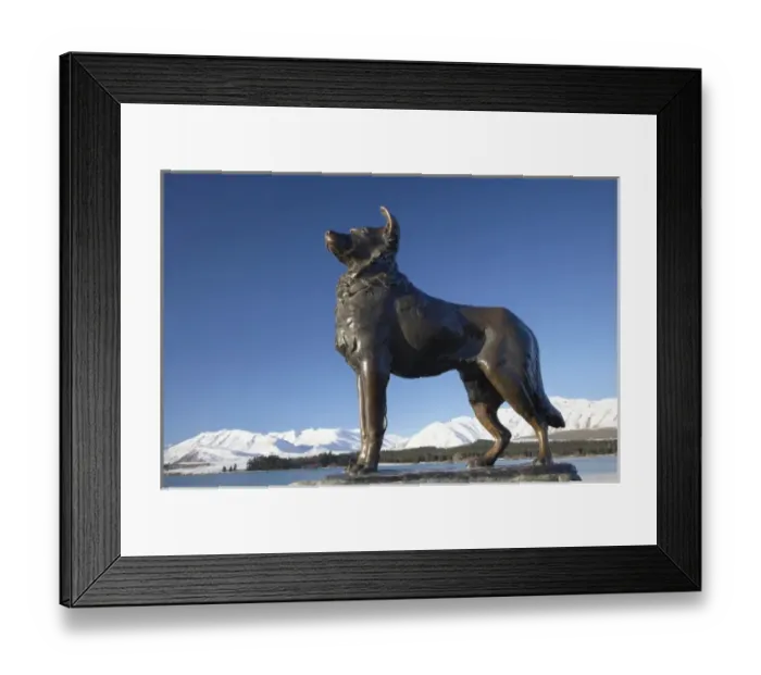 Framed Print : New Zealand, South Island, Canterbury, Mackenzie Country, Sheep Dog Statue, Lake Tekapo Framed Print : New Zealand, South Island, Canterbury, Mackenzie Country, Sheep Dog Statue, Lake Tekapo