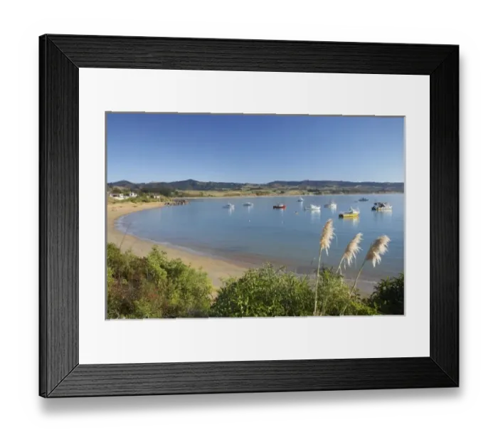 Framed Print : New Zealand, South Island, North Otago, Toetoe Flowers and Fishing Boats, Moeraki Framed Print : New Zealand, South Island, North Otago, Toetoe Flowers and Fishing Boats, Moeraki