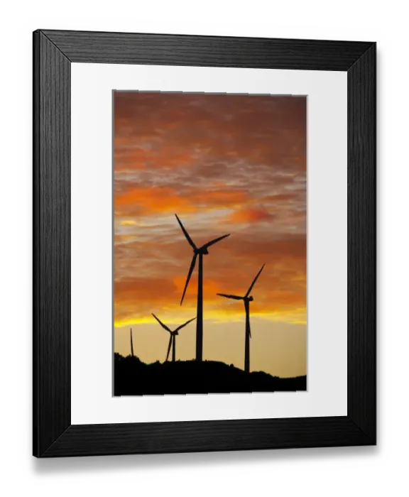 Framed Print : New Zealand, North Island, Manawatu, Sunrise, Te Apiti Wind Farm, Ruahine Ranges Framed Print : New Zealand, North Island, Manawatu, Sunrise, Te Apiti Wind Farm, Ruahine Ranges