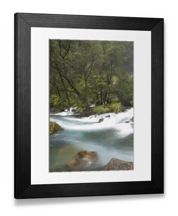 Framed Print : New Zealand Framed Print : New Zealand