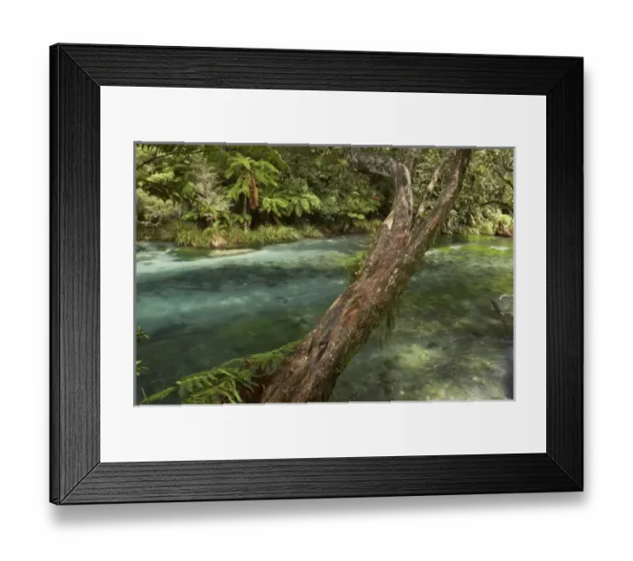 Framed Print : New Zealand Framed Print : New Zealand