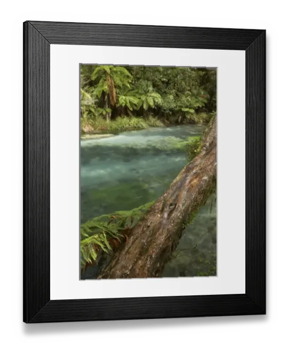 Framed Print : New Zealand Framed Print : New Zealand