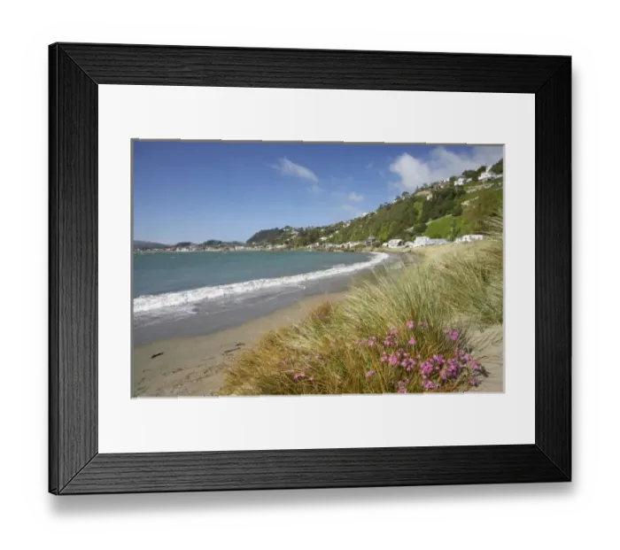 Framed Print : New Zealand Framed Print : New Zealand