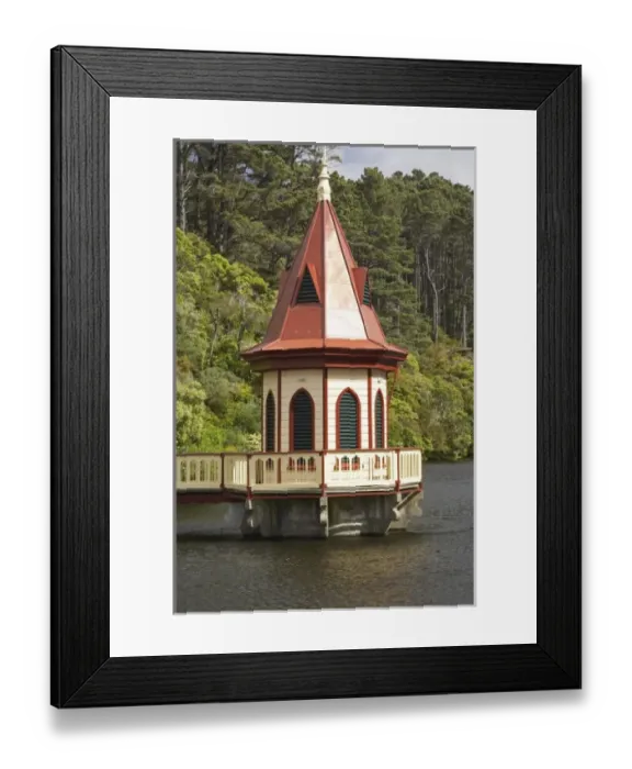 Framed Print : New Zealand