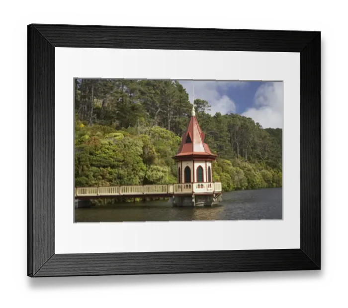 Framed Print : New Zealand Framed Print : New Zealand