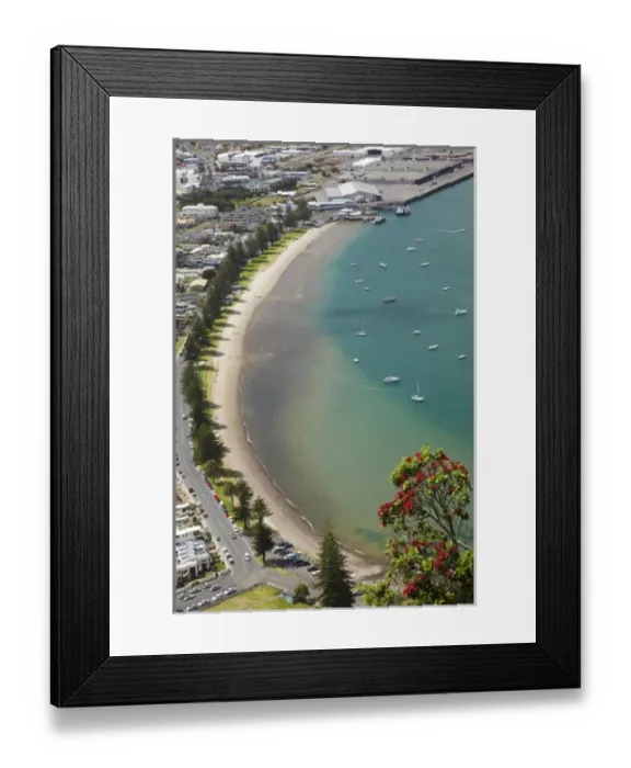 Framed Print : Pilot Bay, Mount Maunganui and Pohutakawa Tree, Tauranga, Bay of Plenty, North Island Framed Print : Pilot Bay, Mount Maunganui and Pohutakawa Tree, Tauranga, Bay of Plenty, North Island