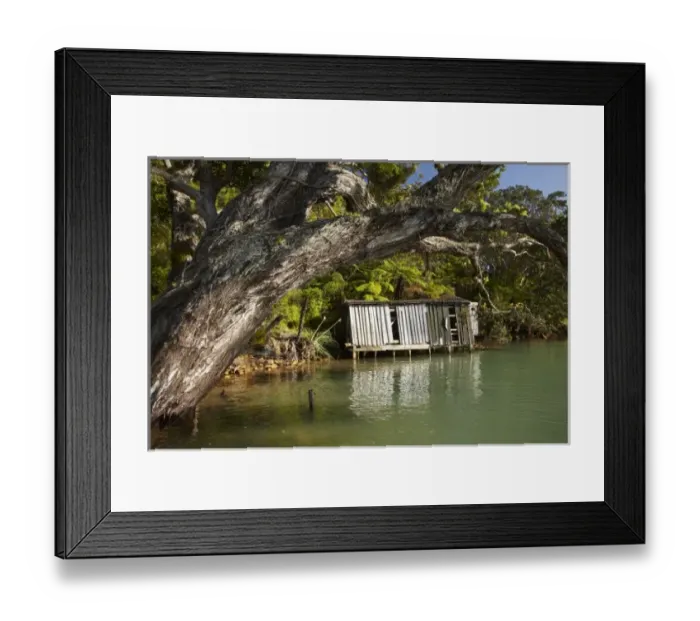 Framed Print : New Zealand Framed Print : New Zealand