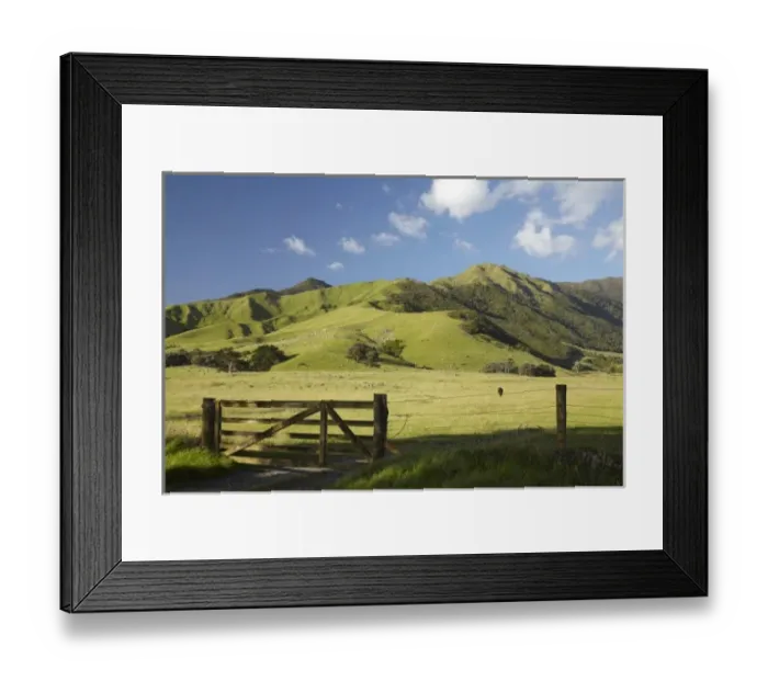 Framed Print : New Zealand Framed Print : New Zealand