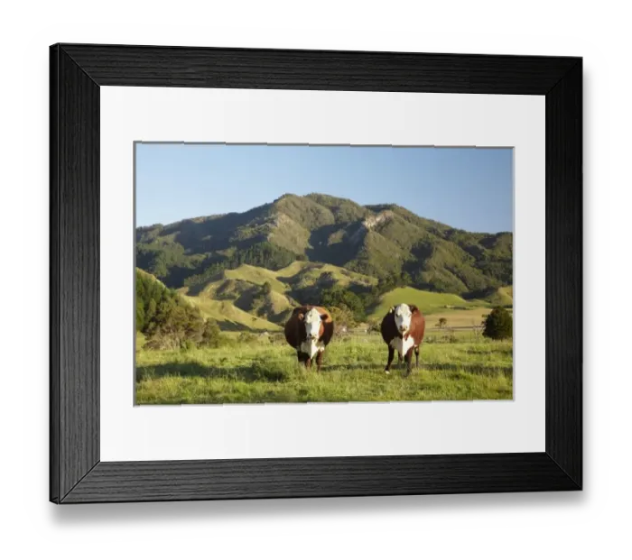 Framed Print : New Zealand Framed Print : New Zealand