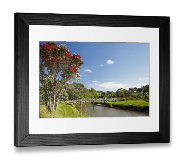 Framed Print : New Zealand Framed Print : New Zealand