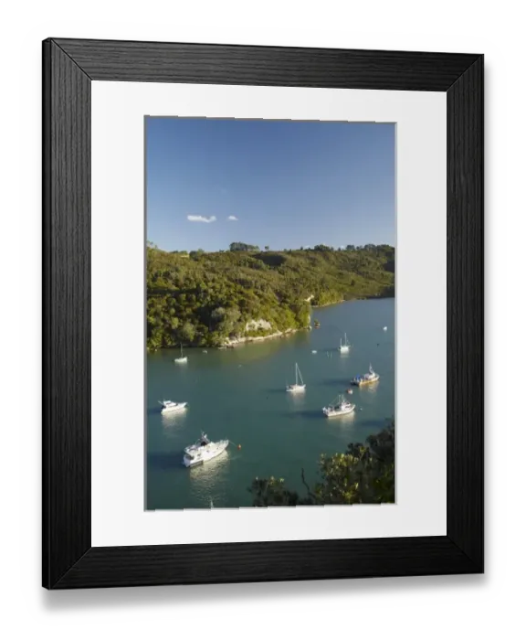 Framed Print : Boats moored in Back Bay, Whitianga Harbour, Whitianga, Coromandel Peninsula, North Island