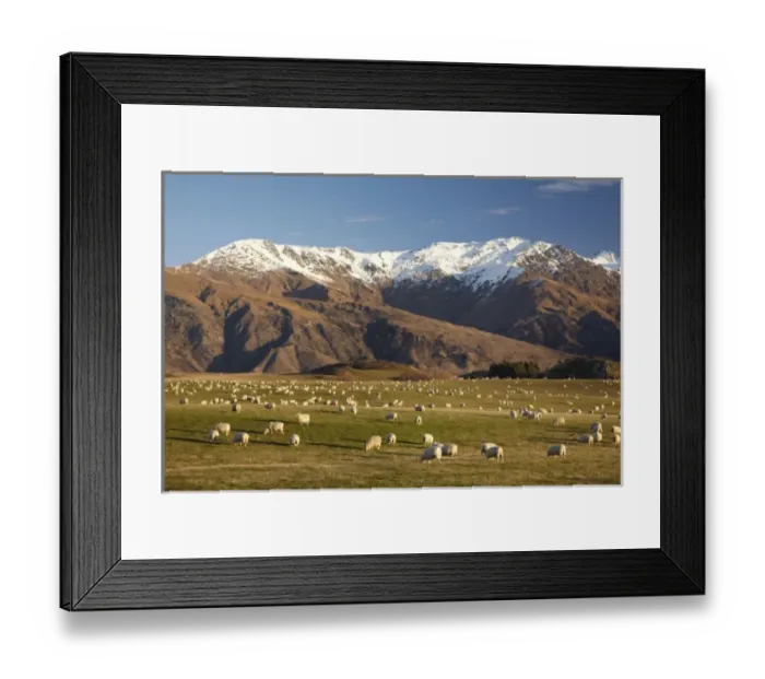 Framed Print : Farmland, Crown Terrace, and Ben Cruachan, near Arrowtown, South Island, New Zealand