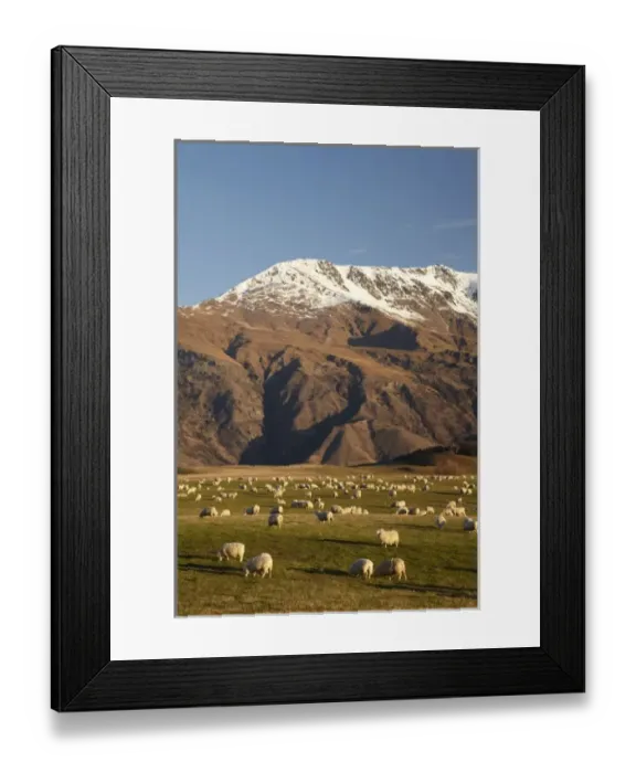 Framed Print : Farmland, Crown Terrace, and Ben Cruachan, near Arrowtown, South Island, New Zealand