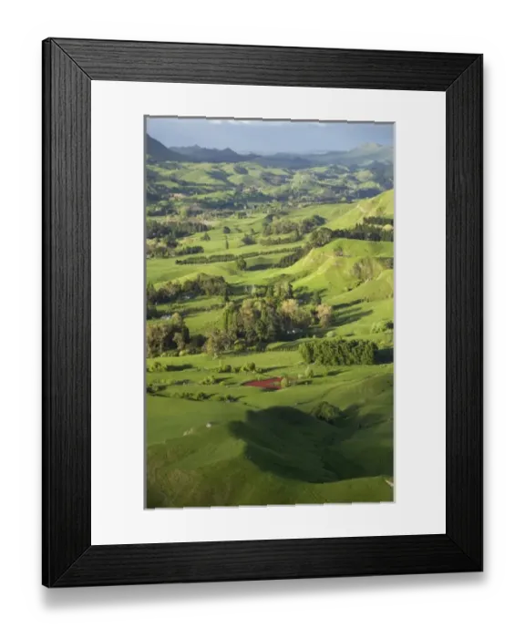 Framed Print : New Zealand Framed Print : New Zealand