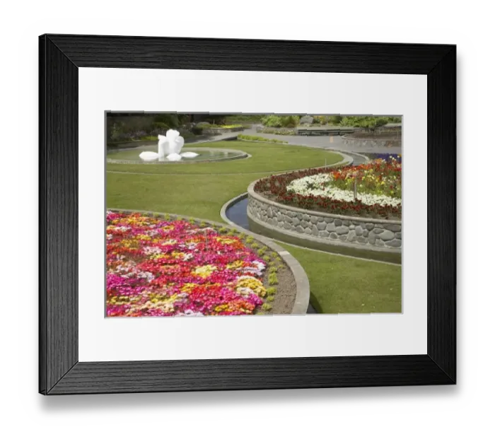 Framed Print : New Zealand Framed Print : New Zealand