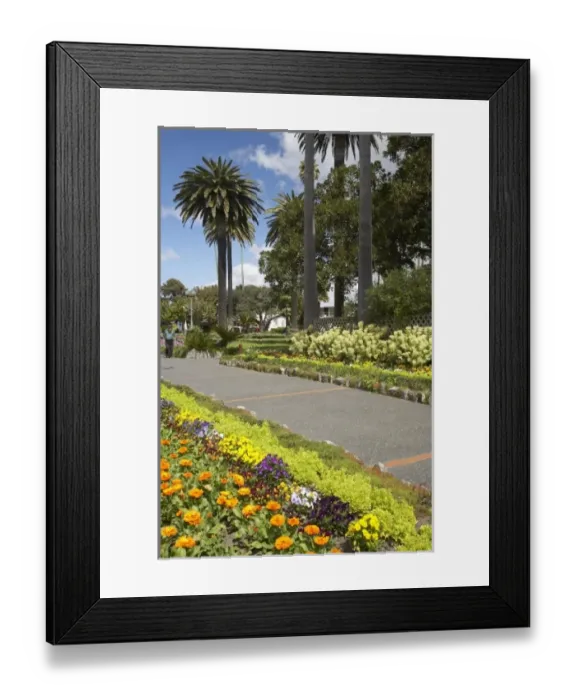 Framed Print : New Zealand Framed Print : New Zealand