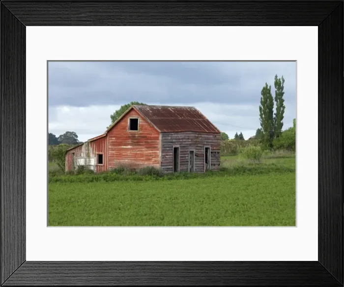 Framed Print : Derelict Building, Greytown, Wairarapa, North Island, New Zealand