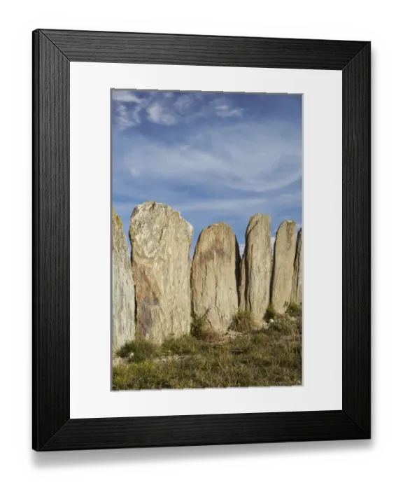 Framed Print : New Zealand Framed Print : New Zealand