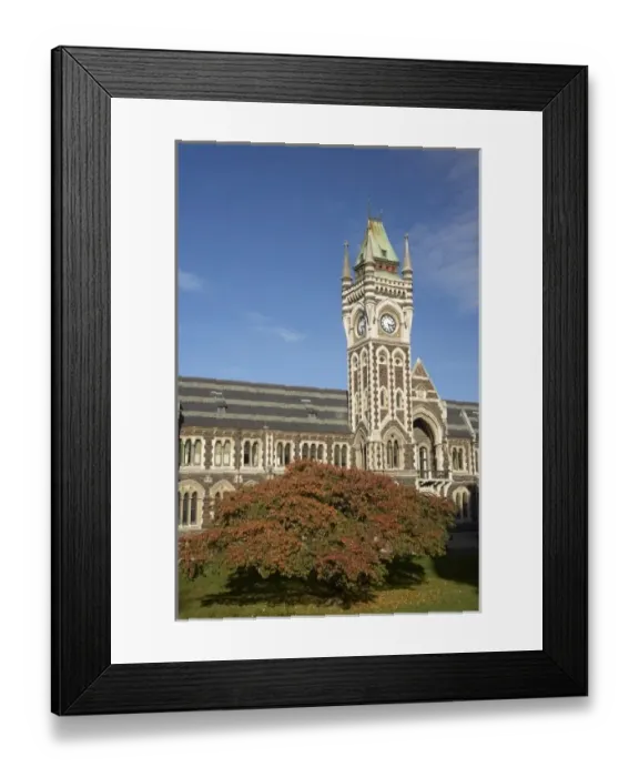 Framed Print : Clock Tower, Registry Building, University of Otago in Autumn, Dunedin, South Island Framed Print : Clock Tower, Registry Building, University of Otago in Autumn, Dunedin, South Island