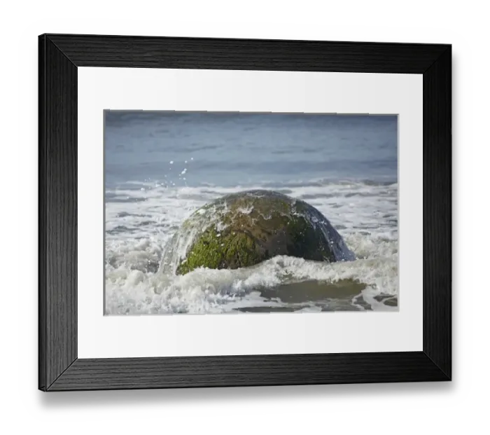Framed Print : Wave splashing over Moeraki Boulder, North Otago, South Island, New Zealand Framed Print : Wave splashing over Moeraki Boulder, North Otago, South Island, New Zealand