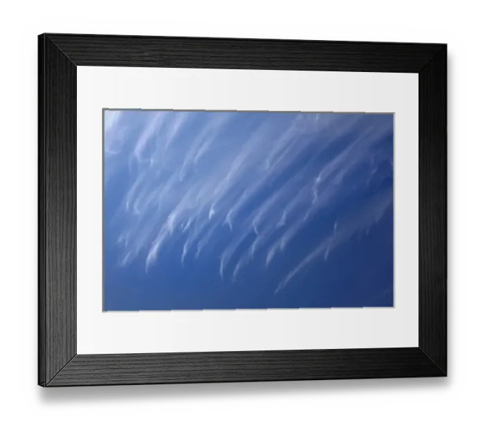 Framed Print : Cirrus Clouds over Dunedin, Otago, South Island, New Zealand Framed Print : Cirrus Clouds over Dunedin, Otago, South Island, New Zealand