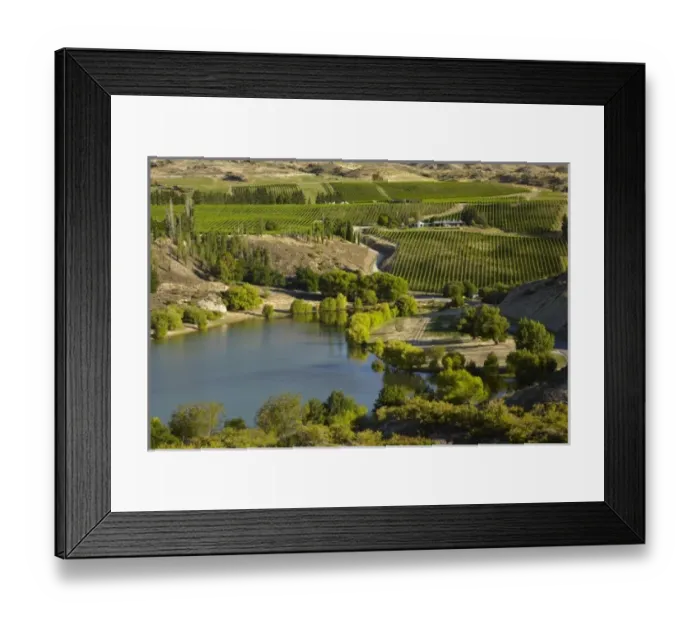 Framed Print : Vineyards, Bannockburn Inlet, Lake Dunstan, Central Otago, South Island, New Zealand Framed Print : Vineyards, Bannockburn Inlet, Lake Dunstan, Central Otago, South Island, New Zealand