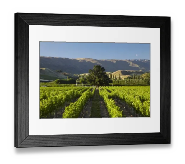 Framed Print : New Zealand Framed Print : New Zealand