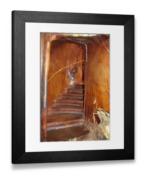 Framed Print : Staircase inside a giant kauri tree, Ancient Kauri Kingdom, Awanui, near Kaitaia Framed Print : Staircase inside a giant kauri tree, Ancient Kauri Kingdom, Awanui, near Kaitaia