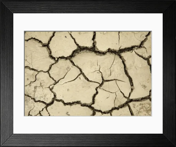 Framed Print : New Zealand Framed Print : New Zealand