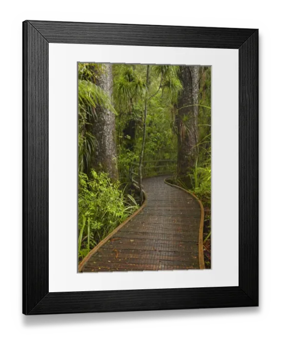 Framed Print : New Zealand