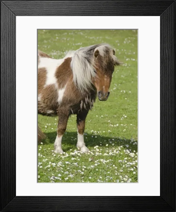 Framed Print : Europe, Scotland