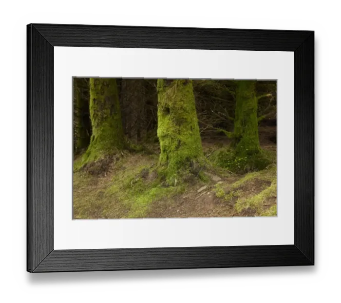 Framed Print : Europe, Scotland Framed Print : Europe, Scotland