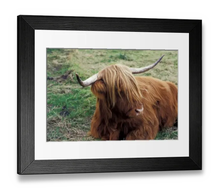 Framed Print : Europe, Scotland