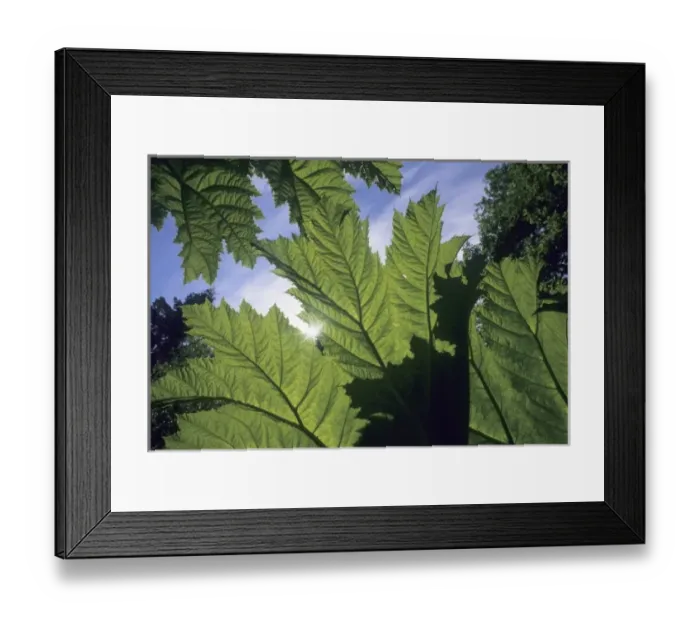 Framed Print : Europe, Scotland