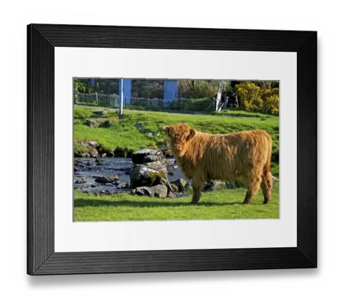 Framed Print : Europe, Scotland Framed Print : Europe, Scotland