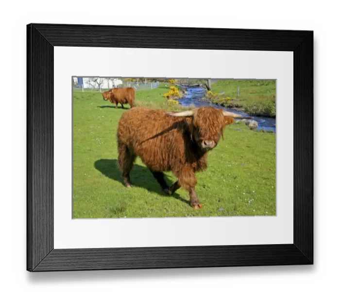 Framed Print : Europe, Scotland Framed Print : Europe, Scotland